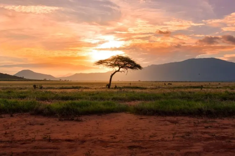 Scenic Kenya Plan A
